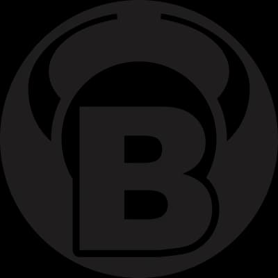 Bull's Germany Dart Flights